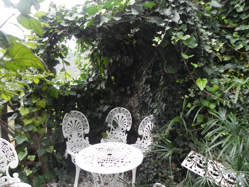 Vila Casa De Mos Aboim Exteriér fotografie